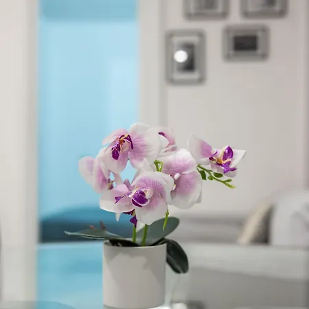 Apartman Chic House *