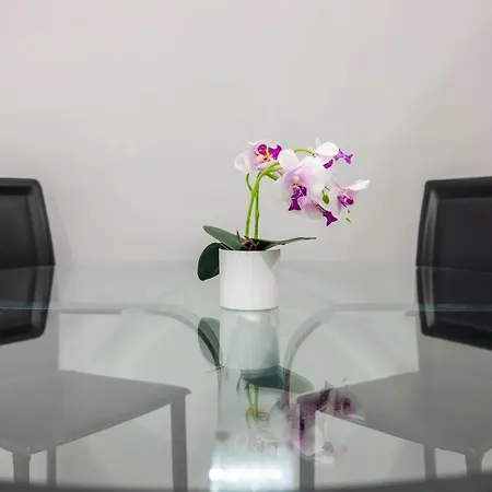 Chic House * 바리